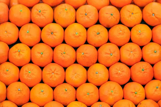 Pile of fresh orange fruits in market