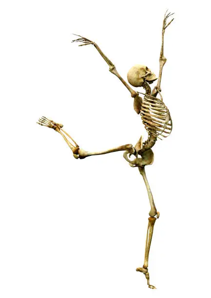 Photo of 3D illustration human skeleton on white