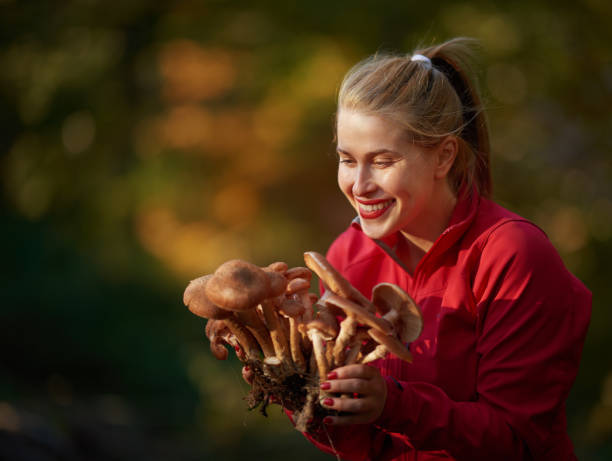 istock enjoy collecting mushrooms 964762662