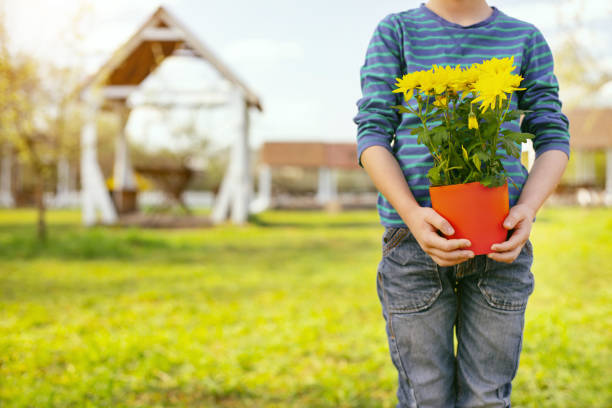 istock Pleasant young boy holding flowers 964768982