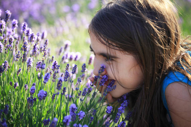 istock Girl smelling lavender flowers 964778226