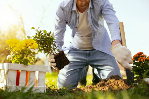 istock Nice handsome man enjoying gardening 964782504