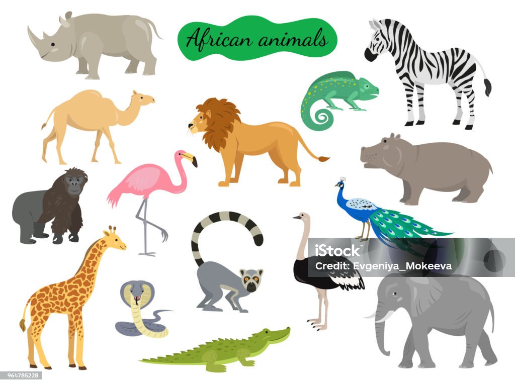 Conjunto de animales africanos sobre fondo blanco. - arte vectorial de Animal libre de derechos