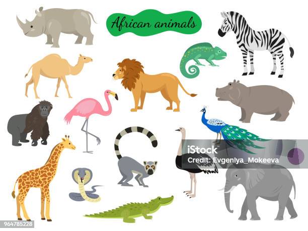 Set Of African Animals On White Background Stock Illustration - Download Image Now - Animal, Africa, Peacock