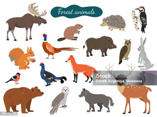 Set Of Forest Animals On White Background Stock Illustration - Download Image Now - Moose, Deer, Animal