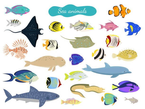 ilustraciones, imágenes clip art, dibujos animados e iconos de stock de conjunto de animales de mar de dibujos animados sobre fondo blanco. - dolphin animal sea underwater