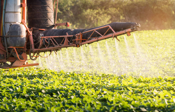 istock Tractor spraying pesticides on soybean field with sprayer at spring 964790224