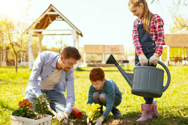 istock Delighted nice family working in the garden 964792764