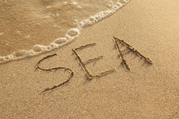 istock Inscription on a wet sand (Sea) with sea waves on a sunset, top view. 964792910
