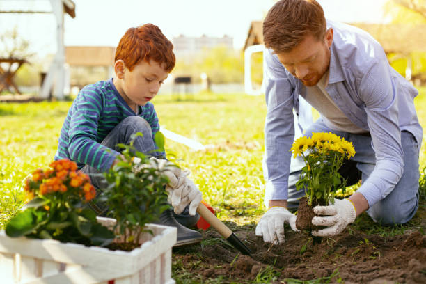 istock Serious nice father and son working in the garden 964794044