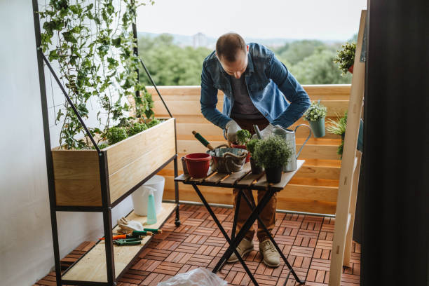 istock In a small garden on the balcony 964796540