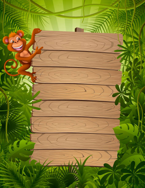 обезьяна и джунгли - tropical climate banner tropical rainforest placard stock illustrations