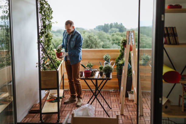 istock Young gardener in a small garden on the balcony 964796798