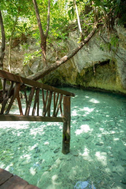 istock Cenote Tulum in Riviera Maya in Mexico 964800060