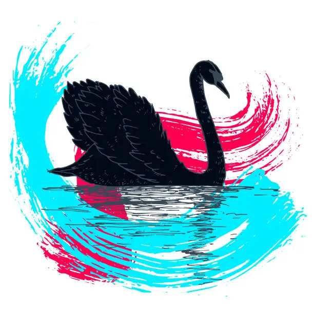 Vector illustration of Vector swan illustration with reflection and abstract watercolor paint splash. Swimming elegant swan bird, beautiful wild nature sketch. Royal swan ink outline illustration, hand drawn animal.