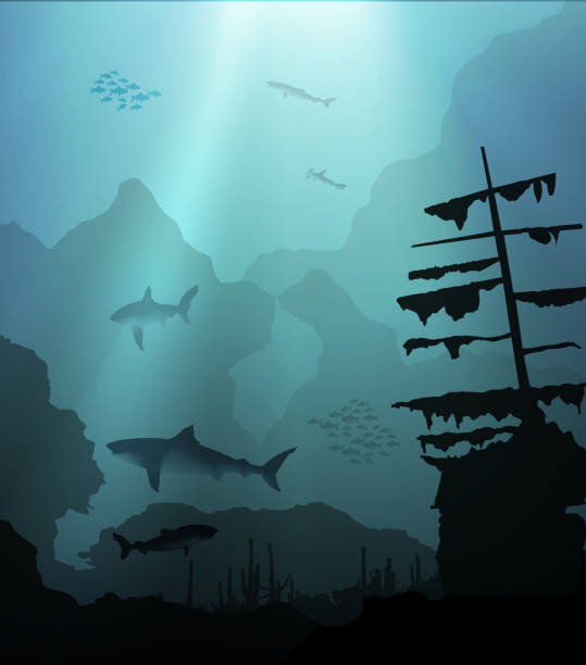 ilustraciones, imágenes clip art, dibujos animados e iconos de stock de submarino con tiburones y barco hundido - sunken