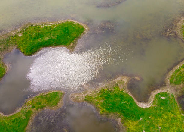 istock aerial view of swamp 964817072