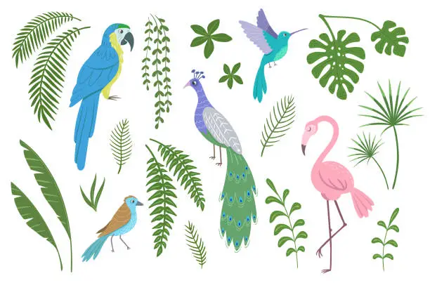 Vector illustration of Set of exotic birds and plants. Vector illustration.