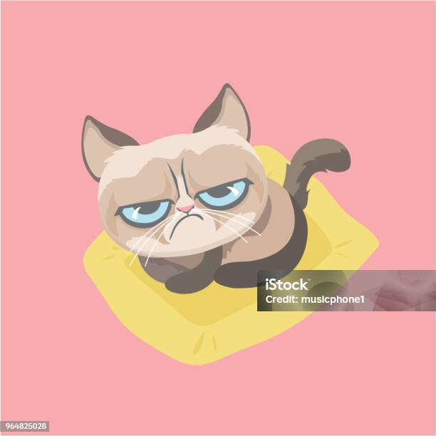 Cute Grumpy Cat Stock Illustration - Download Image Now - Anger, Animal, Animal Hair
