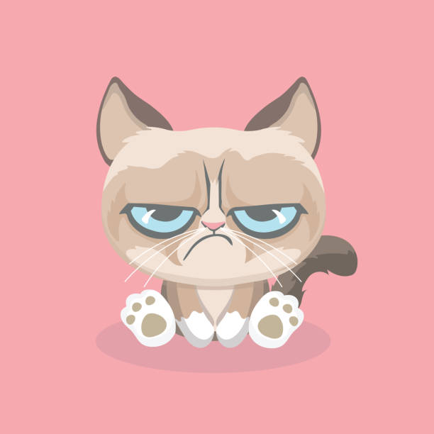 Cute grumpy cat. Cute grumpy cat. Vector Illustration. Sullen stock illustrations