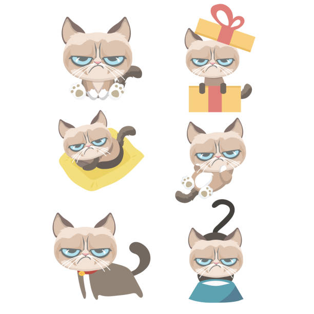 Grumpy cat set. Funny vector set of grumpy cat. fat ugly face stock illustrations
