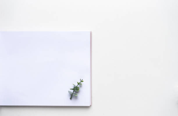 istock Wedding wish book and oregano branches on white marble. Top view 964829058