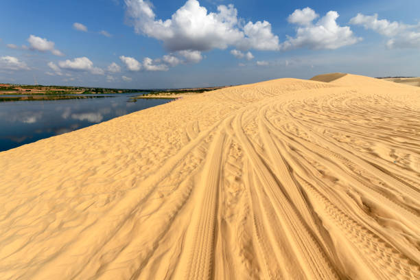 istock Landscape of White Sand Dunes desert and oasis 964831386