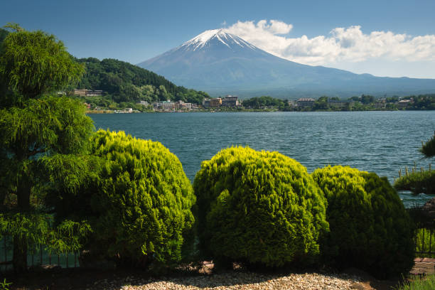 istock Beautiful view Fuji mountain with snow 964831424