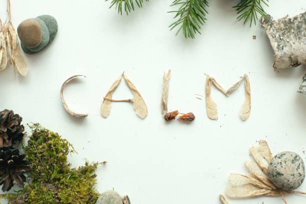 istock mindfulness calmness unplug concept, word calm from forest natural material 964831530