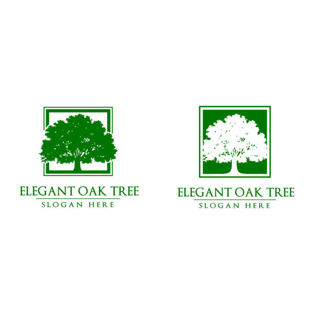 reen eiche baum-vektor-design - tree environment oak tree symbol stock-grafiken, -clipart, -cartoons und -symbole