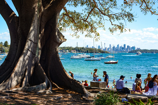 Sydney, Australia - March 18, 2018 - Friends and families relax under the shade of a huge tree in Robertson Park at Watson's Bay.