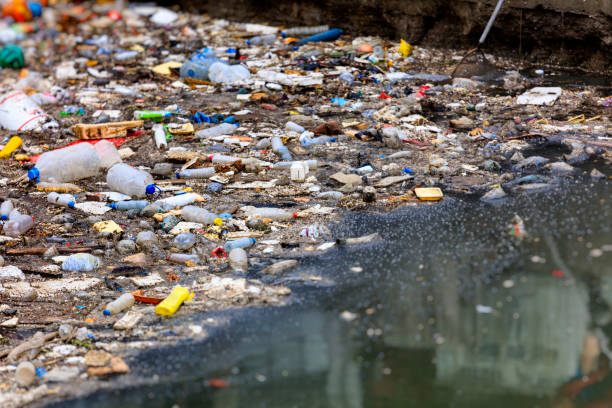 istock Water Pollution - Polluting the Seas 964839498