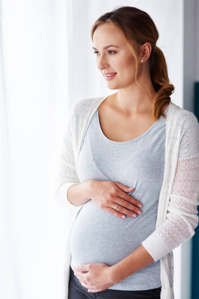 ласковая беременная женщина, смотря в окно - window human pregnancy home interior women стоковые фото и изображения