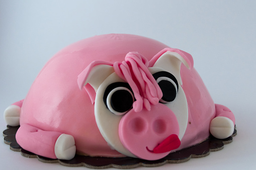 Birthday Cake pig
