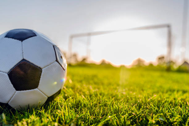 istock Soccer ball on the  field 964867118