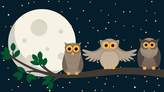 cute owls sit at branch under the moon. Vector illustration