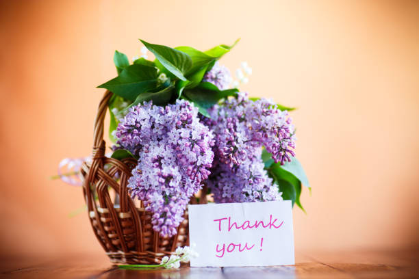 istock branch of blossoming spring lilac 964879784