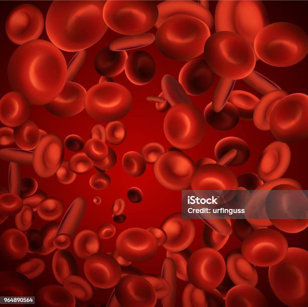 Kuvapankin kuvitus otsikolla Katso Mikroskoopilla Verenpunaiset Verisolut Valkosolut Elävässä Kehossa – Lataa kuva nyt