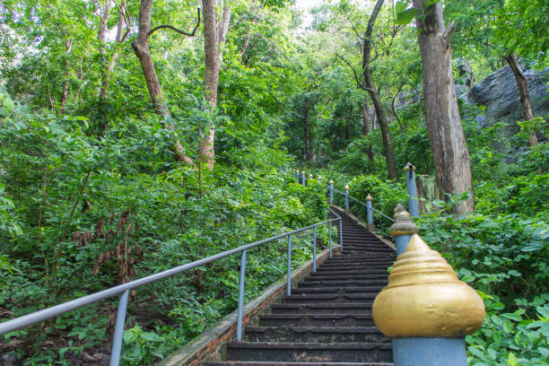 istock the walkway to the temple 964891382