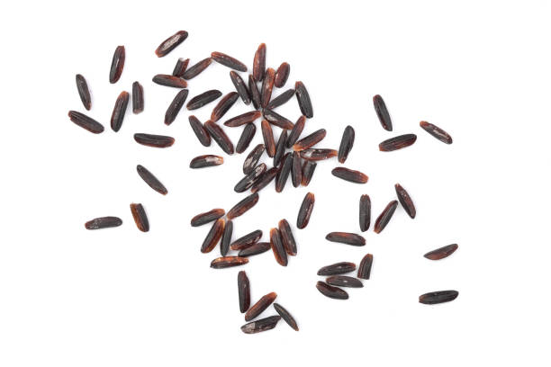 istock Black wild rice isolated on white background close up. Top view. Flat lay 964892200