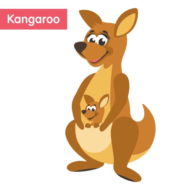 Cute mom kangaroo and kangaroo child in her bag. Cartoon character on a white background. Flat style. Vector illustration. joey stock illustrations