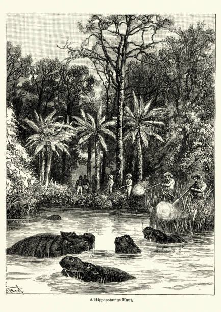 Vintage engraving of a Hippopotamus hunt in the Congo, Victoriian, 19th Century
