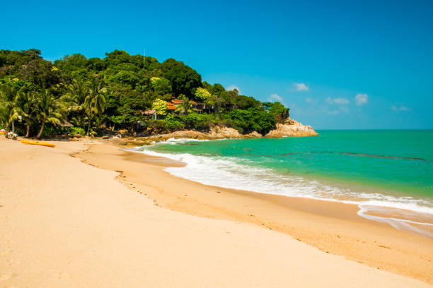 istock Tropical Tongsai Beach, Koh Samui, Thailand 964921036