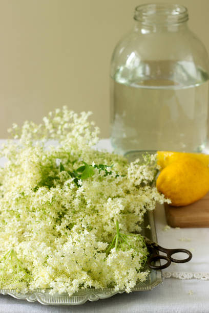 istock Elder flowers, water, lemon and sugar, ingredients for making elder syrup. Rustic style. 964933222