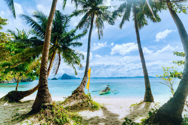 istock Tropical scenery with beautiful palm beach and boat, El Nido, Philippines 964934148