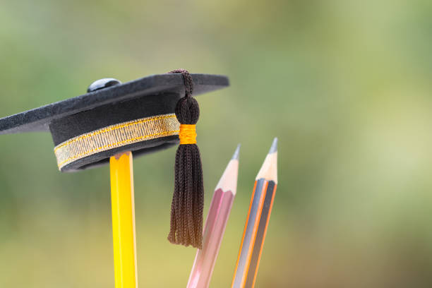 istock Graduate study or Education knowledge is power concept: Graduated cap Put on color pencil in basket. Conceptual for Educational is successs study or business world. Back to School ideas. 964940484