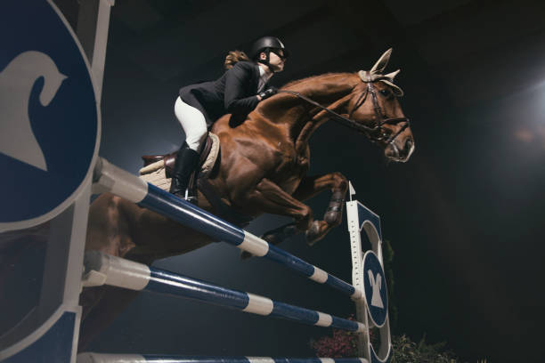 Woman jumping with horse over the hurdle Horse hurdle jumping competition. Young woman mid-air in jump over a small hurdle. equestrian event photos stock pictures, royalty-free photos & images