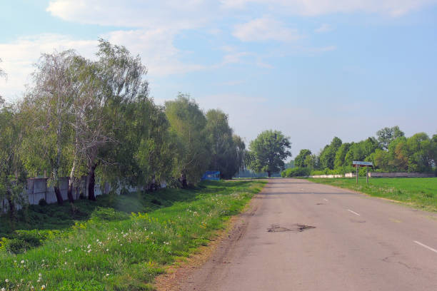 istock Rural areas. Field. Road. Trees 964952174