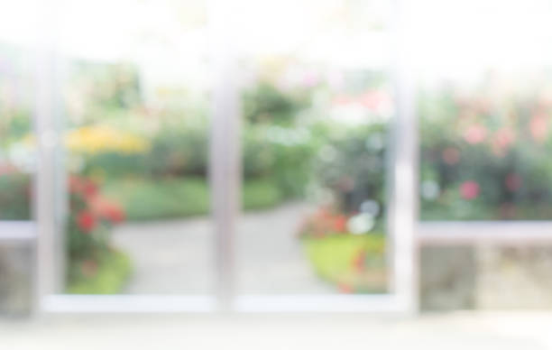 istock Blur of abstract green garden background 964955110