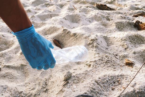 istock Young man picking up trash / plastic / cigarettes with protective gloves on the beach 964970118